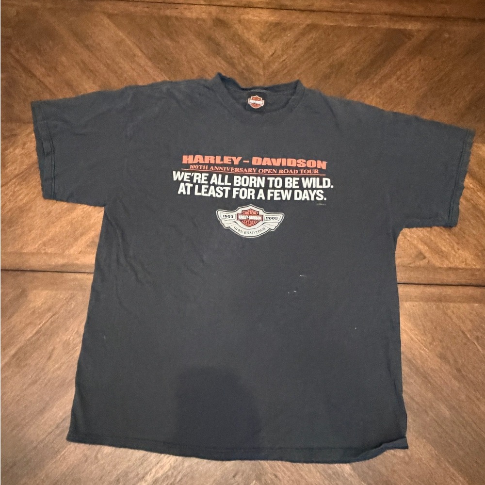Harley Davidson 100th Anniversary Open Road Tour T-Shirt Black Distressed‎ 2002